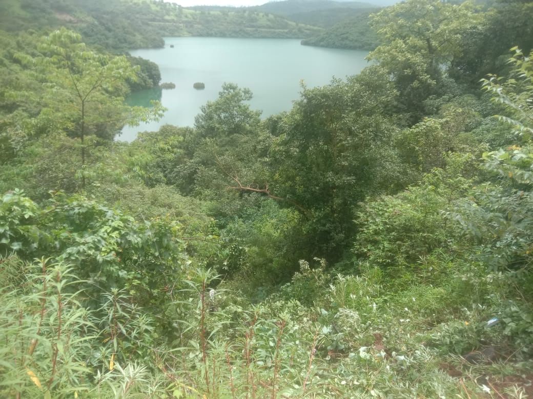 Pune News | पुणे शहराजवळ फॉर्च्युनर गाडी 200 फूट दरीत कोसळली, पाहा काय झाले? Pune News | पुणे शहराजवळ फॉर्च्युनर गाडी 200 फूट दरीत कोसळली, पाहा काय झाले?