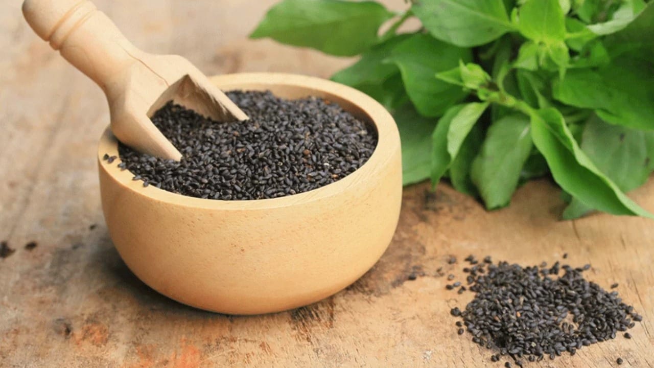 तुळशीच्या पानांचे फायदे तुम्हाला माहित आहेत, आज वाचा तुळशीच्या बियांचे फायदे! Marathi News