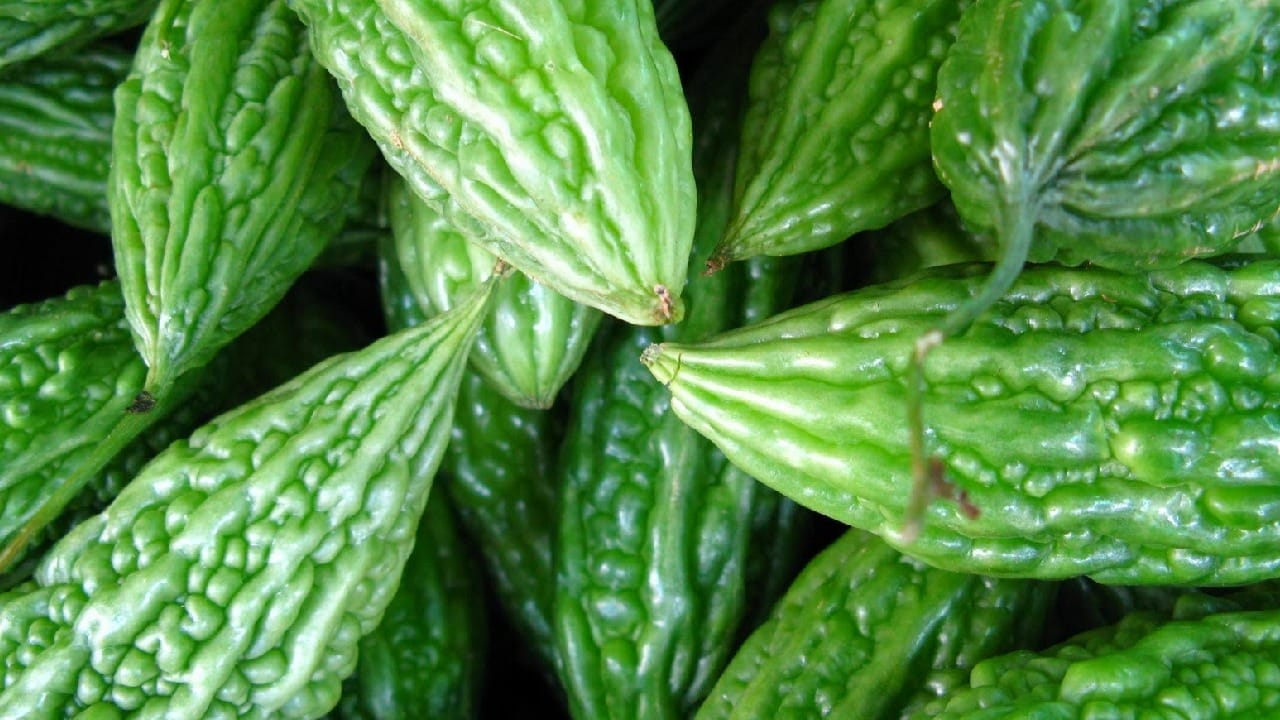 खरं तरं कारलं कडू असल्याने फायदाही तितका आहे आणि तोटाही तितकाच आहे. पण आपण कारल्याचा कडवटपणा कमी करू शकतो. कारले चांगले धुवून घ्या, त्यातल्या बिया काढा त्या अधिक कडू असतात. कारलं उकडून घेतलं की कडवटपणा कमी होतो, उकडताना त्यात तुम्ही हळद सुद्धा टाकू शकता.