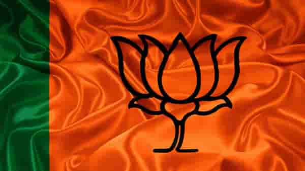भाजपची मोठी खेळी, या सात आमदारांना लोकसभेच्या मैदानात उतरवणार?; काय आहे खास प्लान?