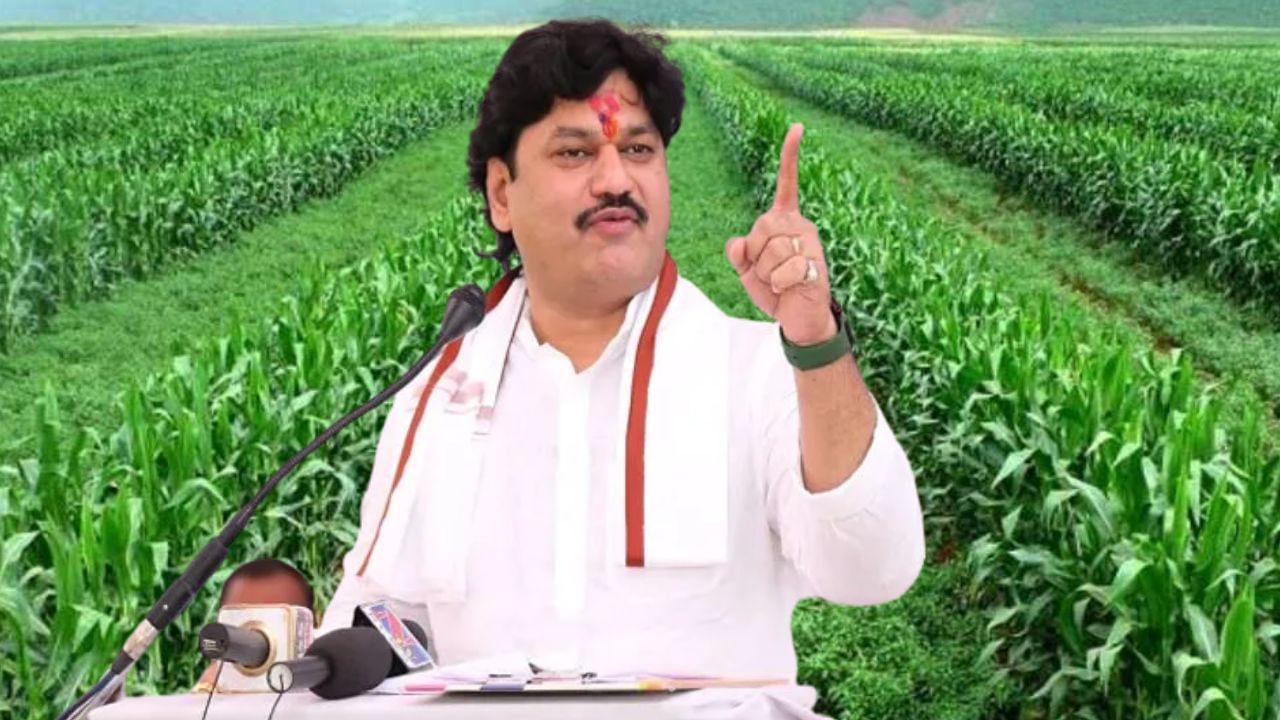 प्रधानमंत्री पीक विमा योजना | कृषी खात्याच्या छाननीत अनेक अपात्र अर्ज बाद