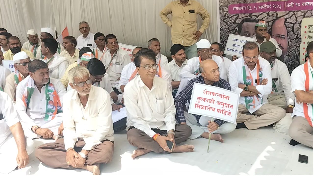 धुळ्यात सरासरीपेक्षा अत्यंत कमी प्रमाणात पाऊस पडला आहे खरीप हंगामातील पिकं पूर्णतः करपली असून जवळपास दीड ते दोन महिन्यापासून पावसाचा थेंबही पडला नाही.