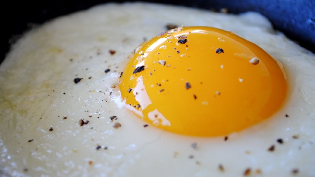 आपल्याकडे खाण्या-पिण्याची काही पथ्ये आहेत. ही पथ्ये आपण पाळली तर आपलं आरोग्य चांगलं राहतं. अंडी आरोग्यासाठी चांगली असतात आपल्याला अंडी उकडून खाण्याचा, ऑमलेट खाण्याचा सल्ला दिला जातो. असे काही पदार्थ आहेत जे अंड्यासह अजिबात खाऊ नयेत, कोणते पदार्थ आहेत बघुयात...