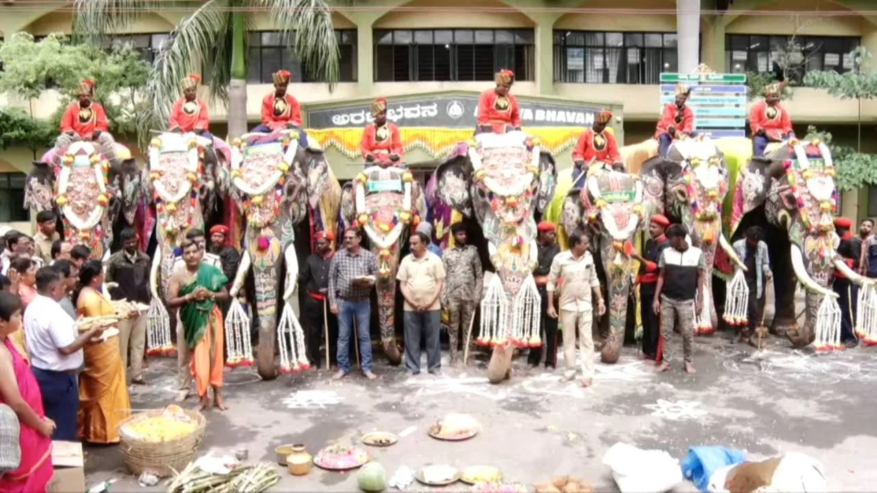 Mysore Dashara 2023 | मैसूरच्या प्रसिद्ध दसरा मिरवणूकीसाठी हत्तींचा काढला जातो तब्बल इतक्या कोटींचा विमा Mysore Dashara 2023 | मैसूरच्या प्रसिद्ध दसरा मिरवणूकीसाठी हत्तींचा काढला जातो तब्बल इतक्या कोटींचा विमा