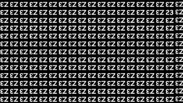 Optical Illusion | या चित्रात 23 हा आकडा शोधून दाखवा!