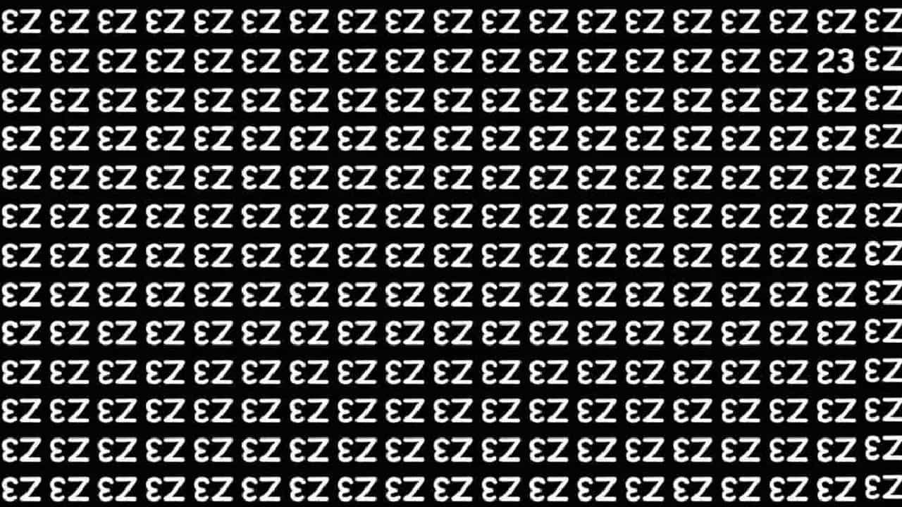 Optical Illusion | या चित्रात 23 हा आकडा शोधून दाखवा!