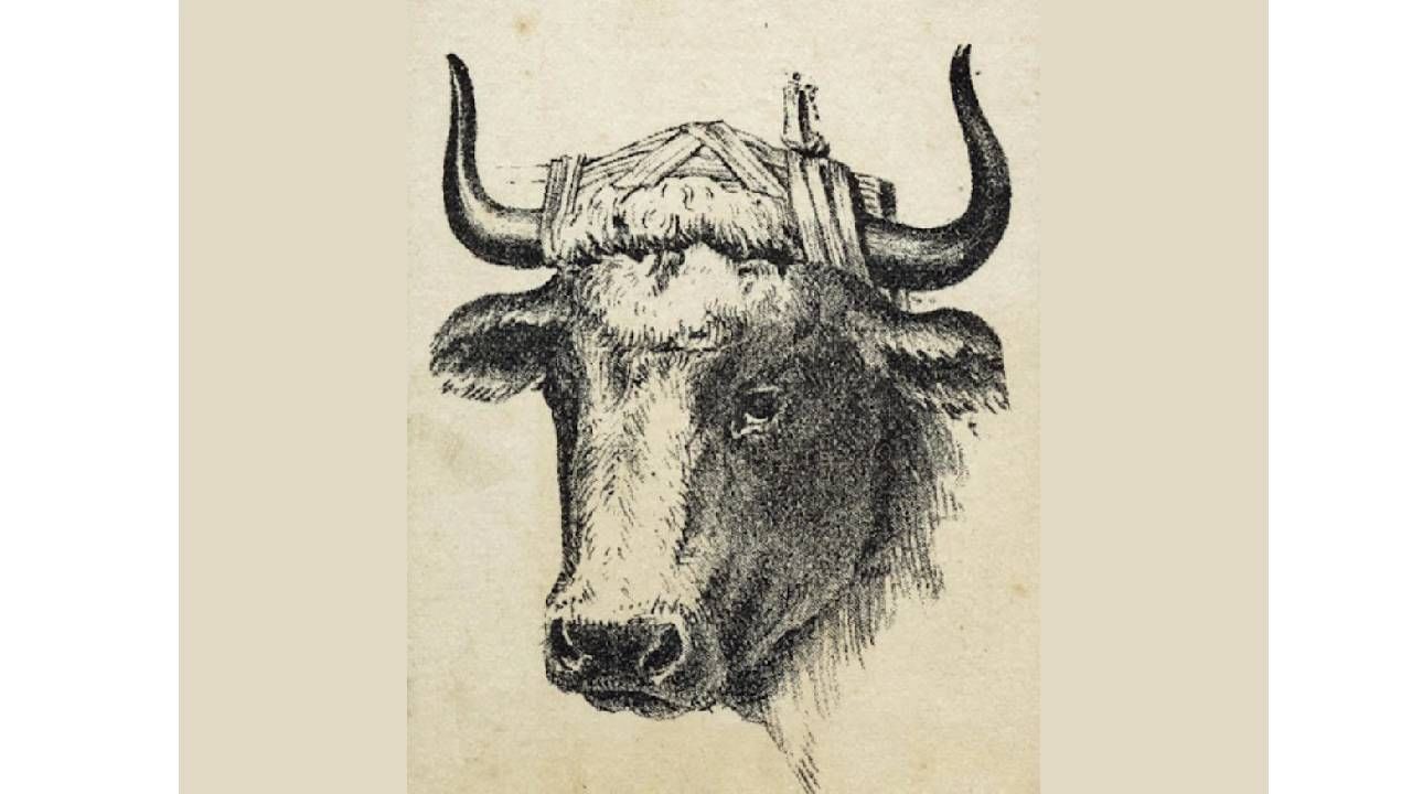 कोडे! या चित्रात माणसाचा चेहरा लपलाय, दिसला? कोडे! या चित्रात माणसाचा चेहरा लपलाय, दिसला?