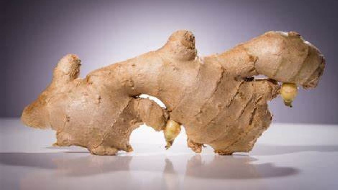 आल्यामध्ये एंजाइम असते. हे एंजाइम पचनसंस्था सुरळीत करते. आले तुम्ही चहात टाकू शकता त्याने घसा चांगला, क्लिअर होतो. सर्दीत आल्याचा चहा चुकवू नये. पोटासाठी उत्तम असणाऱ्या आल्यामुळे गॅस, अपचन आणि बद्धकोष्ठता सारख्या समस्या होत नाहीत.