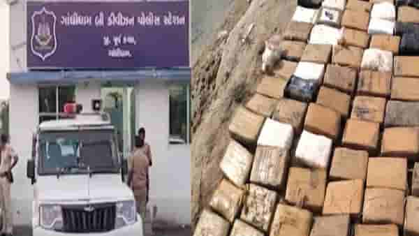 पकडले जाण्याच्या भीतीने तस्कर फरार, गुजरातमध्ये कोट्यवधींचे ड्रग्स जप्त, पोलिसांची मोठी कारवाई