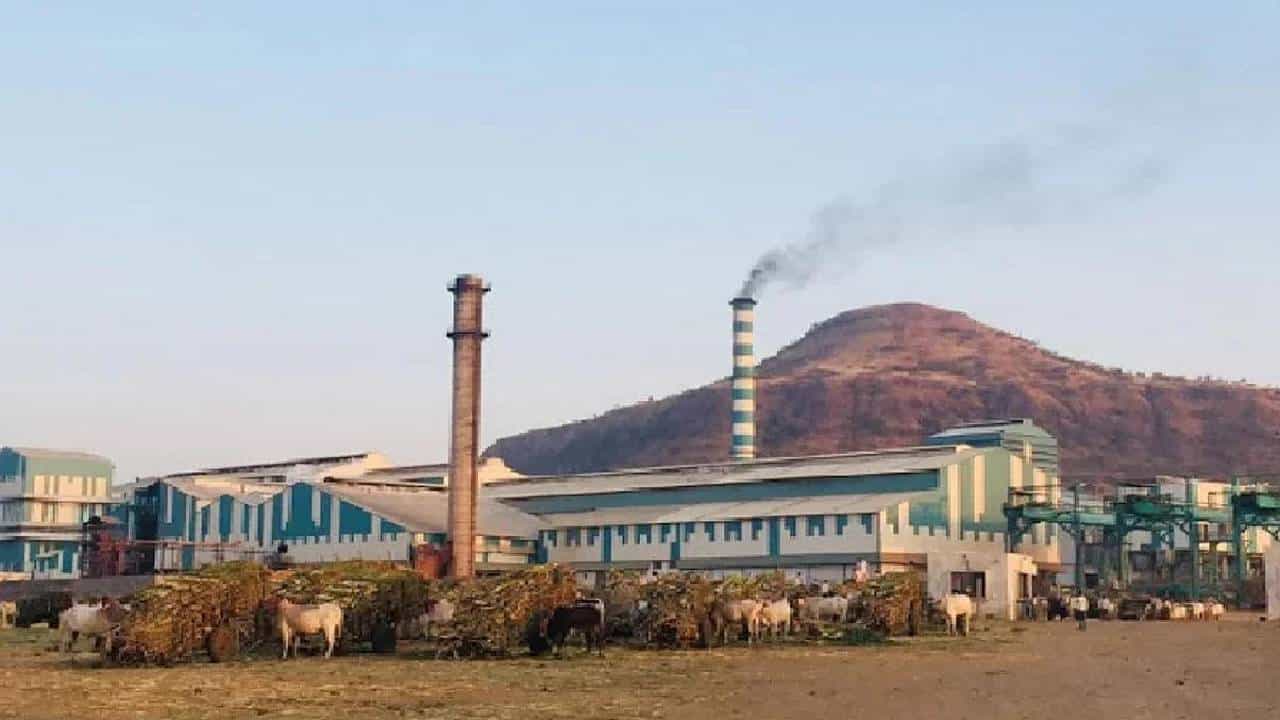 'जरंडेश्वर कारखाना पुन्हा मूळ मालकाच्या ताब्यात घ्या', शालिनी पाटील यांच्याकडून हायकोर्टात याचिका, म्हणाल्या... 'जरंडेश्वर कारखाना पुन्हा मूळ मालकाच्या ताब्यात घ्या', शालिनी पाटील यांच्याकडून हायकोर्टात याचिका, म्हणाल्या...