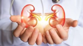 सोडा या खाण्या-पिण्याच्या सवयी, नाहीतर होतील Kidney Disease! सोडा या खाण्या-पिण्याच्या सवयी, नाहीतर होतील Kidney Disease!