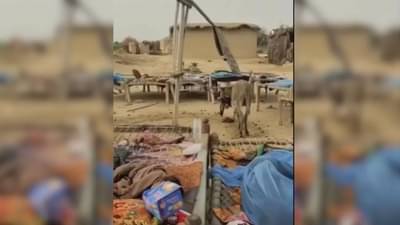 VIDEO | पाकिस्तानमध्ये फॅनचं काम गाढव करतंय, पाहा व्हायरल व्हिडीओ