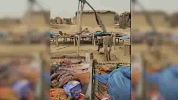 VIDEO | पाकिस्तानमध्ये फॅनचं काम गाढव करतंय, पाहा व्हायरल व्हिडीओ