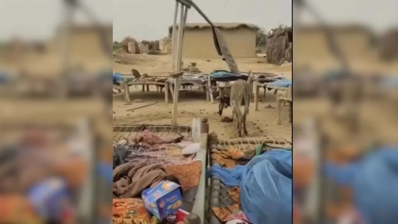 VIDEO | पाकिस्तानमध्ये फॅनचं काम गाढव करतंय, पाहा व्हायरल व्हिडीओ