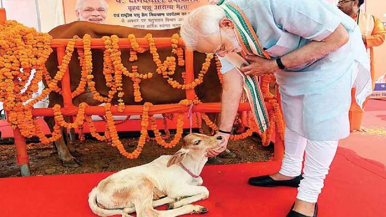 पंतप्रधान नरेंद्र मोदी यांची अशीही एक बाजू, जी खूप कमी लोकांना माहितीये ...