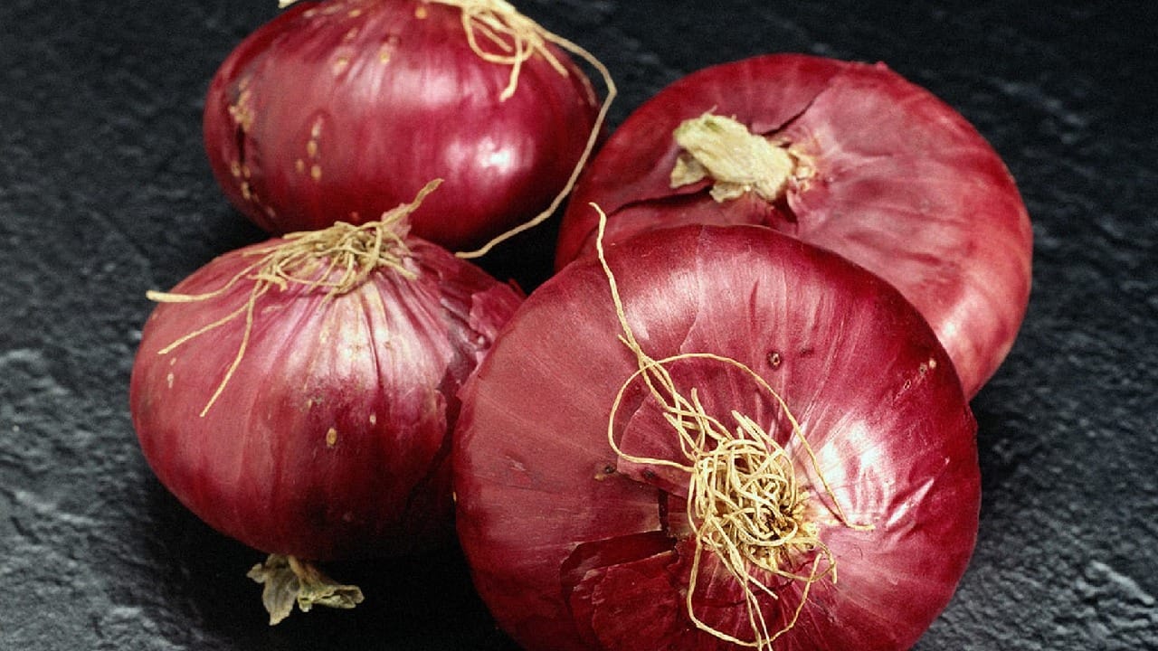 कांद्याने हृदयरोगाचा धोका कमी होतो. कांदा कर्करोगापासून संरक्षण करतो, रक्तातील साखरेची पातळी कमी करतो. कच्चा कांदा आरोग्यासाठी खूप चांगला असतो यात काही शंका नाही. पण जी लोकं कांदा खातात त्यांच्या छातीत जळजळ होते, तोंडातून दुर्गंधी येते. 