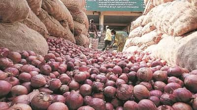 कांदा ग्राहकांना रडवणार, कांदा दरवाढीमागील कारण काय?