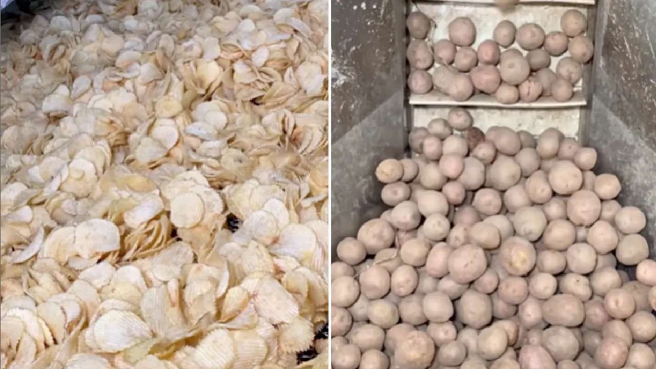 VIDEO | तुम्हाला बटाटा चिप्स आवडतात का?, फॅक्टरीमध्ये या स्वादिष्ट बटाटा चिप्स कशा बनवल्या जातात व्हिडीओत पाहा VIDEO | तुम्हाला बटाटा चिप्स आवडतात का?, फॅक्टरीमध्ये या स्वादिष्ट बटाटा चिप्स कशा बनवल्या जातात व्हिडीओत पाहा
