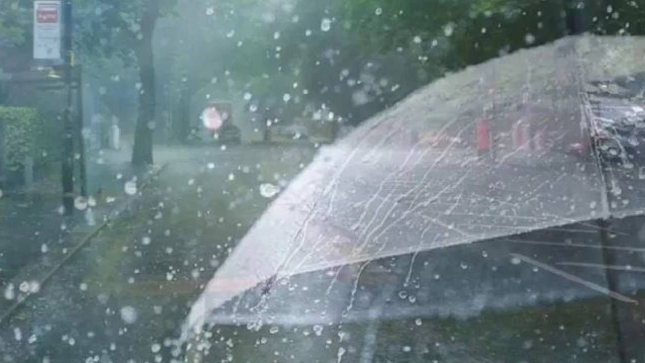 Rain : आता पावसाचा जोर कमी होणार, पुन्हा या तारखेपासून राज्यात मुसळधार Rain : आता पावसाचा जोर कमी होणार, पुन्हा या तारखेपासून राज्यात मुसळधार
