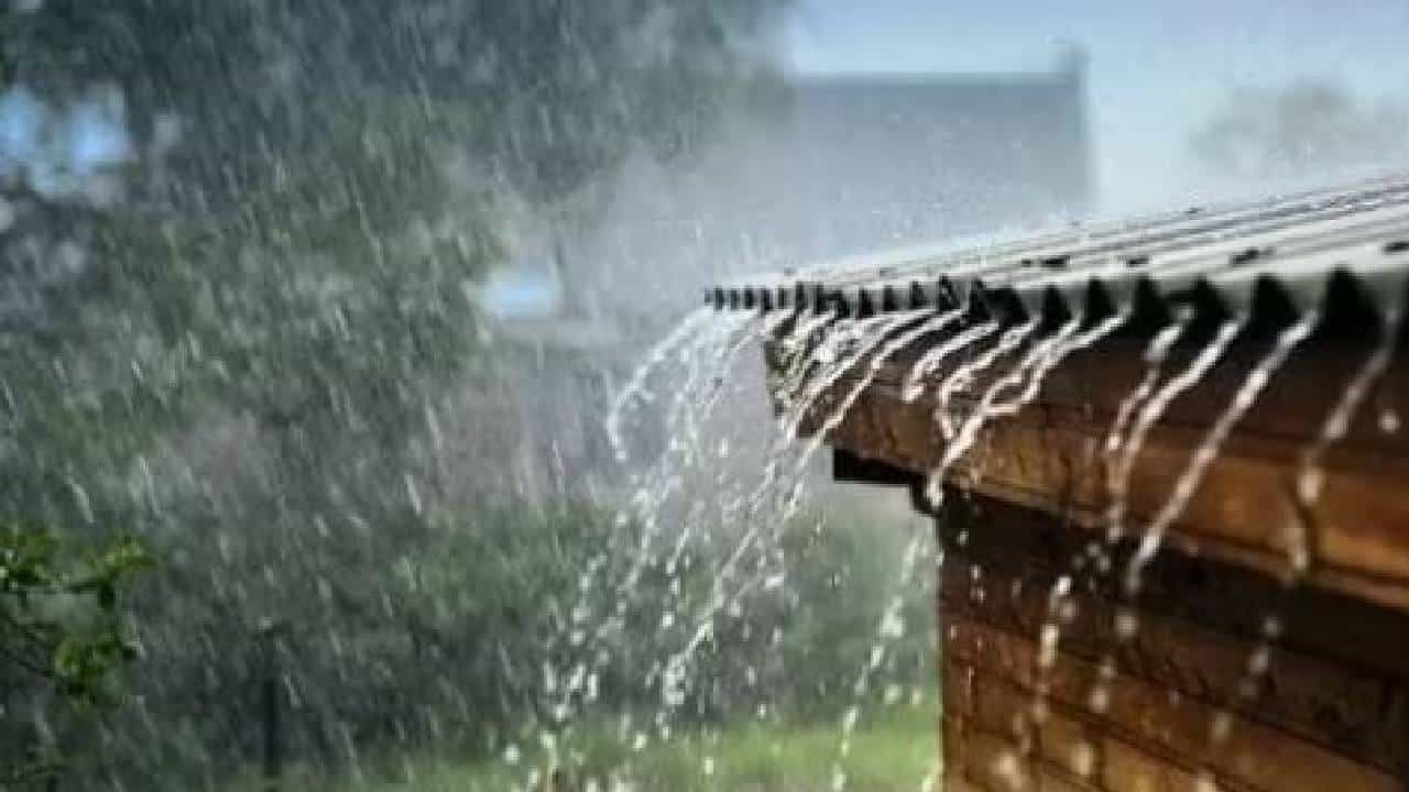 Maharashtra Rain : पुढील चार दिवस राज्यात मुसळधार पाऊस? कोणत्या जिल्ह्यांना कोणता अलर्ट?