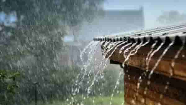 Rain Update | राज्यात पुढील दोन दिवस पाऊस, हवामान विभागाकडून ऑरेंज अन् यलो अलर्ट