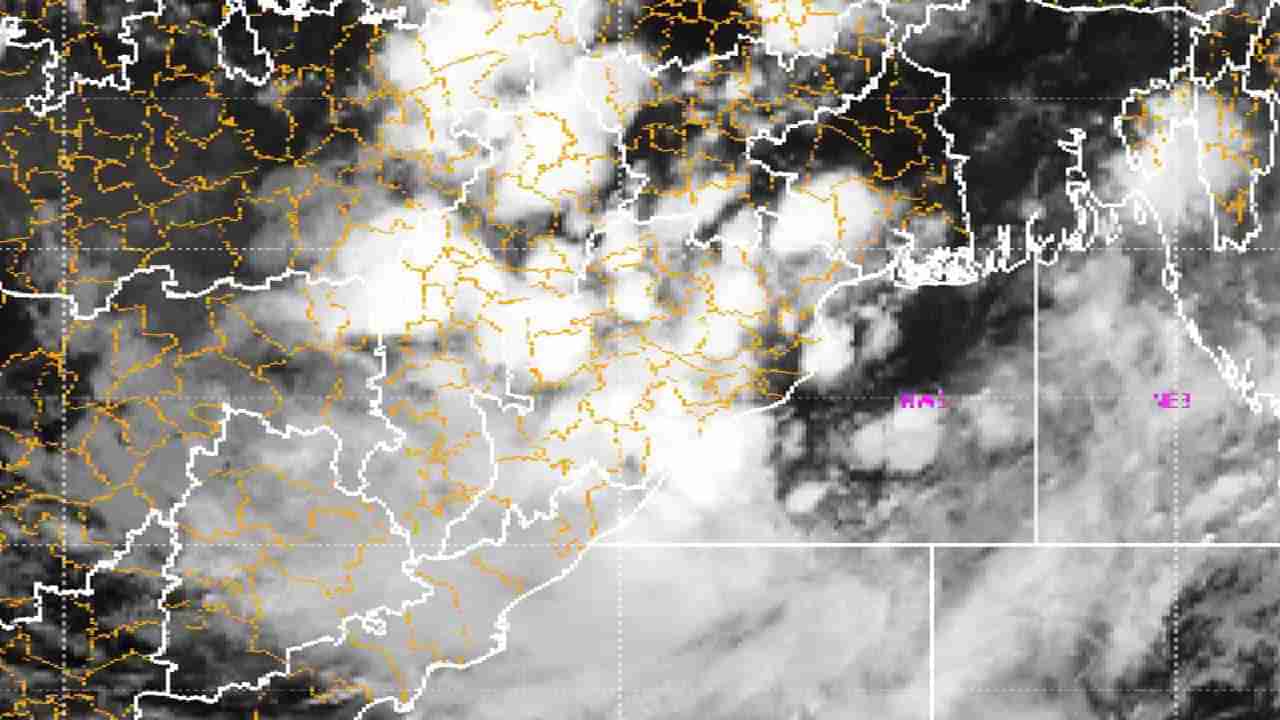 Rain : राज्यात पाऊस आजपासून परतणार, या जिल्ह्यांना दिला अलर्ट