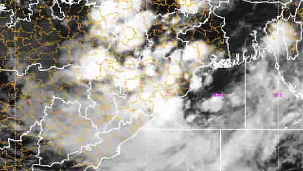 Maharashtra Rain Update | येत्या ४८ तासात मॉन्सून होणार सक्रिय, राज्यात कुठं कोसळणार मुसळधार पाऊस?