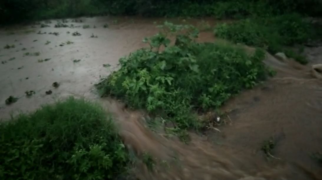 यंदा पावसाला उशिरा सुरुवात झाली. त्यानंतर ऑगस्ट महिन्यात पाऊस नव्हता. यामुळे यंदा पिण्यास तरी पाणी मिळणार का? ही चिंता व्यक्त केली जात होती. त्यावेळी सप्टेंबर महिन्यात पाऊस झाल्यामुळे पिण्याची पाण्याची चिंता मिटली आहे. 