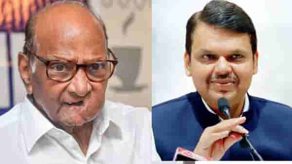 शरद पवार यांचा भाजपला मोठा झटका, जळगावात मोठं खिंडार, या नेत्याचा राष्ट्रवादीत प्रवेश