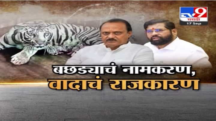 'त्या' बछड्यांच्या नामकरणावरुन आरोप-प्रत्यारोप, अजित दादांनी काढली ‘आदित्य’ नावाची चिठ्ठी अन्… 'त्या' बछड्यांच्या नामकरणावरुन आरोप-प्रत्यारोप, अजित दादांनी काढली ‘आदित्य’ नावाची चिठ्ठी अन्…