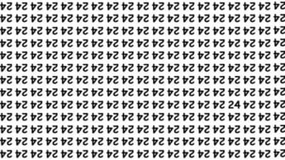 हे कोडं सोडवा! या चित्रात सरळ लिहिलेला 24 हा अंक शोधून दाखवा