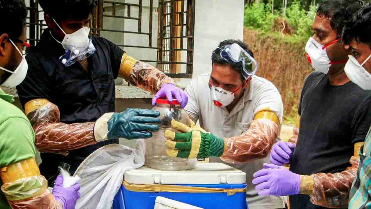 Kerala Nipah Virus | केरळातच का पसरतोय निपा व्हायरस, पाहा आयसीएमआर काय म्हणाले ?