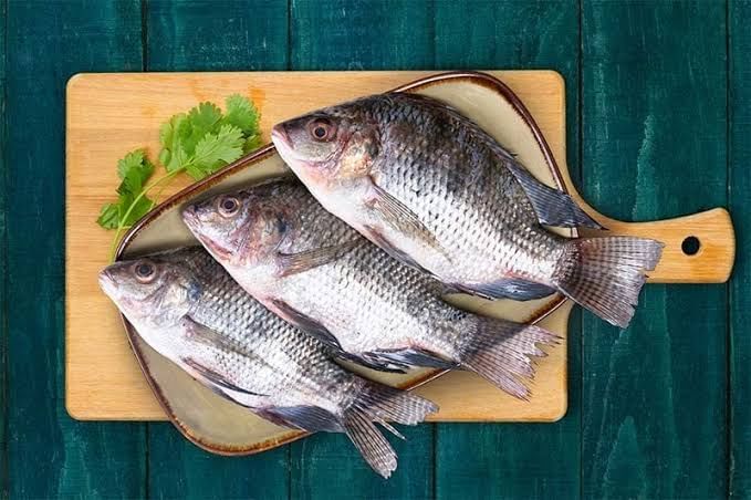 Fish Infection | असं काय घडलं की मासे खाल्ल्याने महिलेचे थेट हातपायच कापावे लागले Fish Infection | असं काय घडलं की मासे खाल्ल्याने महिलेचे थेट हातपायच कापावे लागले