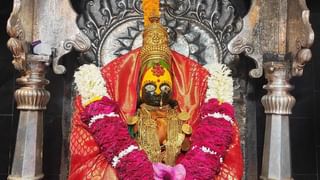 Aawla Navami 2023 : या तारखेला आहे आवळा नवमी, आवळ्याच्या पुजेला आहे विशेष महत्त्व