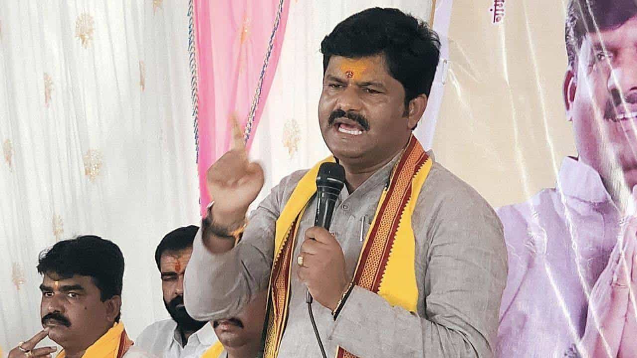 मूल रडल्याशिवाय आई सुद्धा दूध पाजत नाही, गोपीचंद पडळकर नेमकं काय म्हणाले?