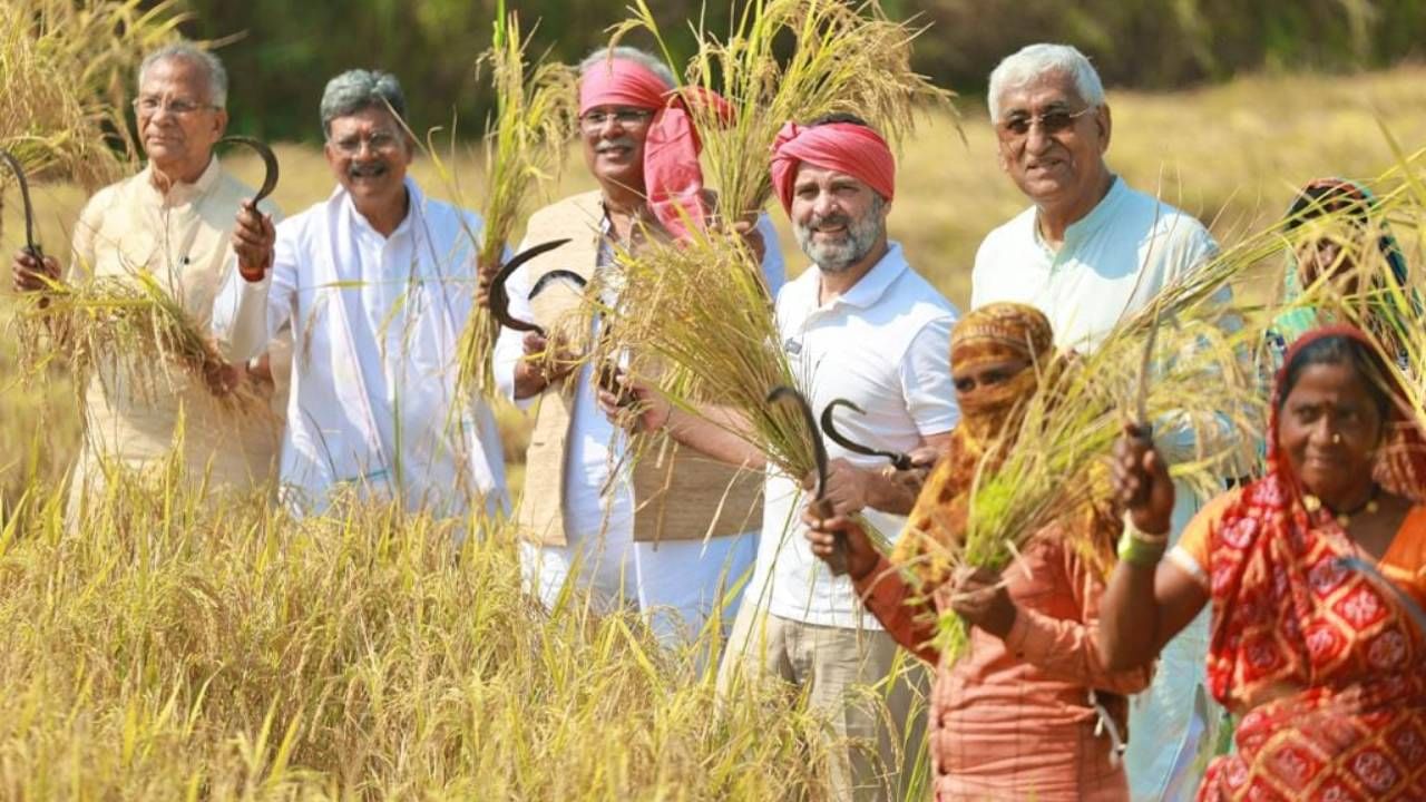 काँग्रेसने काही दिवसांआधी राहुल गांधी यांच्या नेतृत्वात भारत जोडो यात्रा काढली. पदयात्रा करत त्यांनी लोकांशी संवाद साधला. 