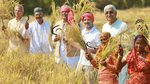 काँग्रेसने काही दिवसांआधी राहुल गांधी यांच्या नेतृत्वात भारत जोडो यात्रा काढली. पदयात्रा करत त्यांनी लोकांशी संवाद साधला.