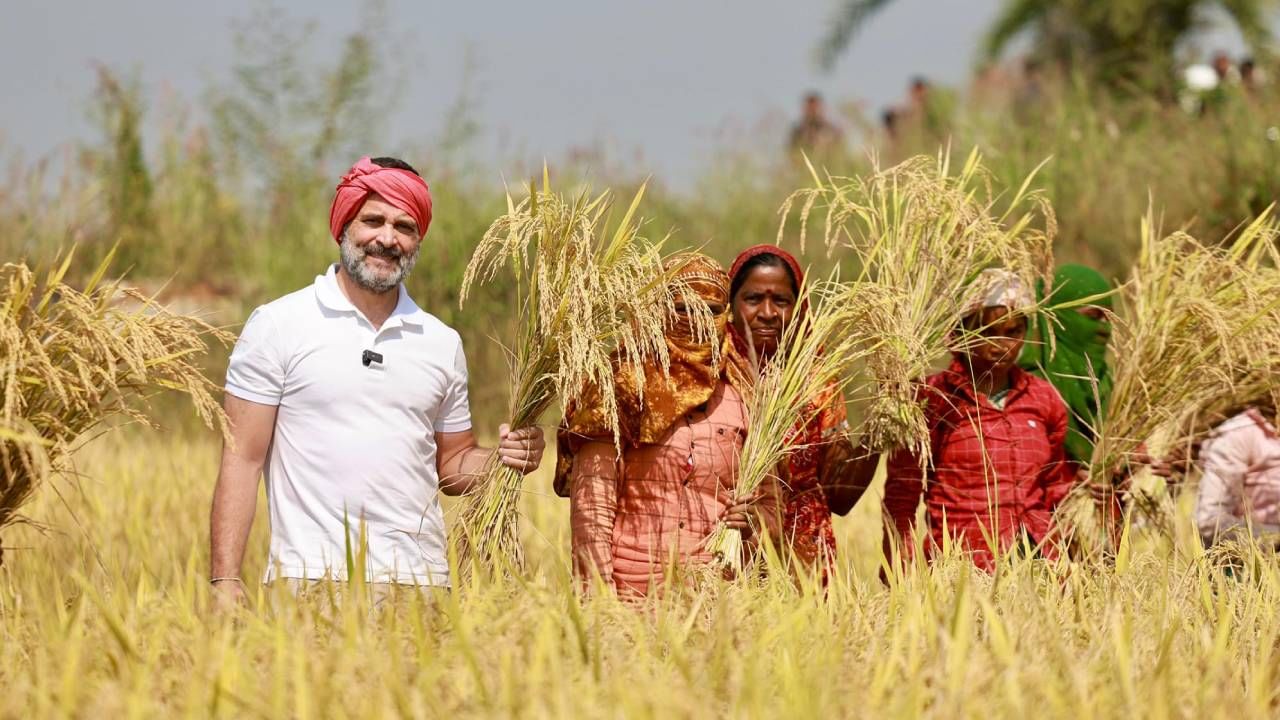 छत्तीसगडची राजधानी असलेल्या रायपूरमधील कठियागावात राहुल गांधी यांनी भेट दिली. राहुल गांधी थेट शेतकऱ्याच्या शेतावर गेले. 