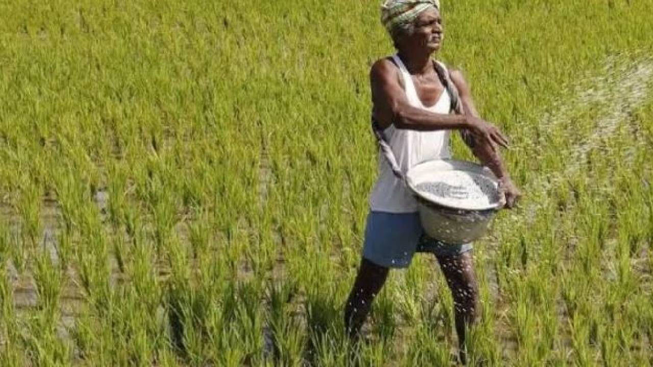दहा कोटी शेतकऱ्यांसाठी आनंदाची बातमी, अर्थसंकल्पात मोदी सरकार देणार मोठे गिफ्ट