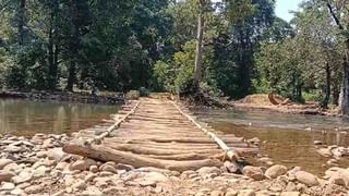 Gadchiroli Bridge | गडचिरोली जिल्ह्यातील गुंडेनुर नाल्यात आदिवासींनी श्रमदानातून बांधला लाकडी पूल