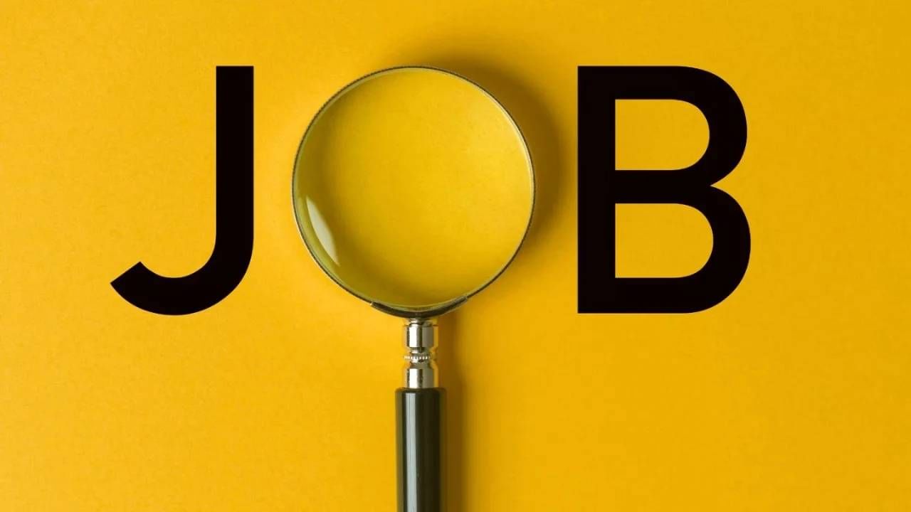 Jobs | नोकऱ्यांची येणार लाट, या क्षेत्रात मिळणार भरपूर रोजगार