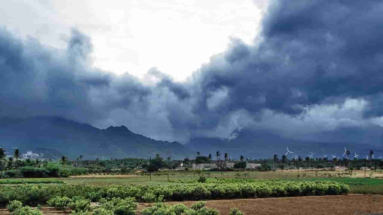 weather update | निम्म्या महाराष्ट्रातून मॉन्सून परतला, राज्यात पावसात उघडीप