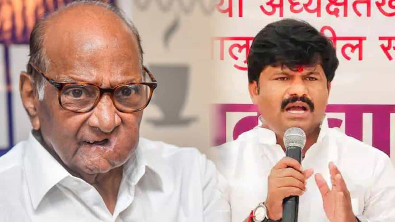 Gopichand Padalkar : गोपीचंद पडळकर यांनी शरद पवार यांना पुन्हा डिवचलं, 'या' शब्दाचा उल्लेख करत बोचरी टीका