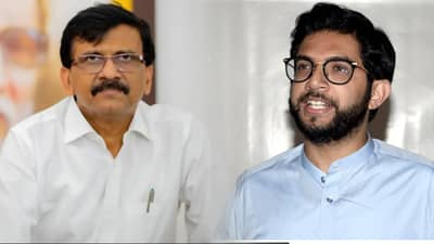 ‘वाघनखं येणार कळताच नकली वाघ बिथरले’, भाजप नेत्याचा रोख नेमका कुणावर?