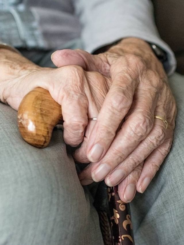 World Senior Citizen Day 2023 : जागतिक ज्येष्ठ नागरिक दिन World Senior Citizen Day 2023 : जागतिक ज्येष्ठ नागरिक दिन