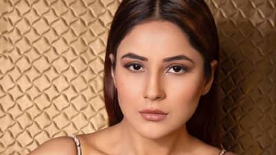 Shehnaaz Gill | शहनाज गिल हिने नेटकऱ्यांना सुनावले खडेबोल, थेट म्हणाली, नेहमीच...