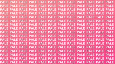 Optical Illusion | PALE लिहिलेल्या या चित्रात TALE शब्द शोधा! तुम्हाला उत्तर सापडलंय का?