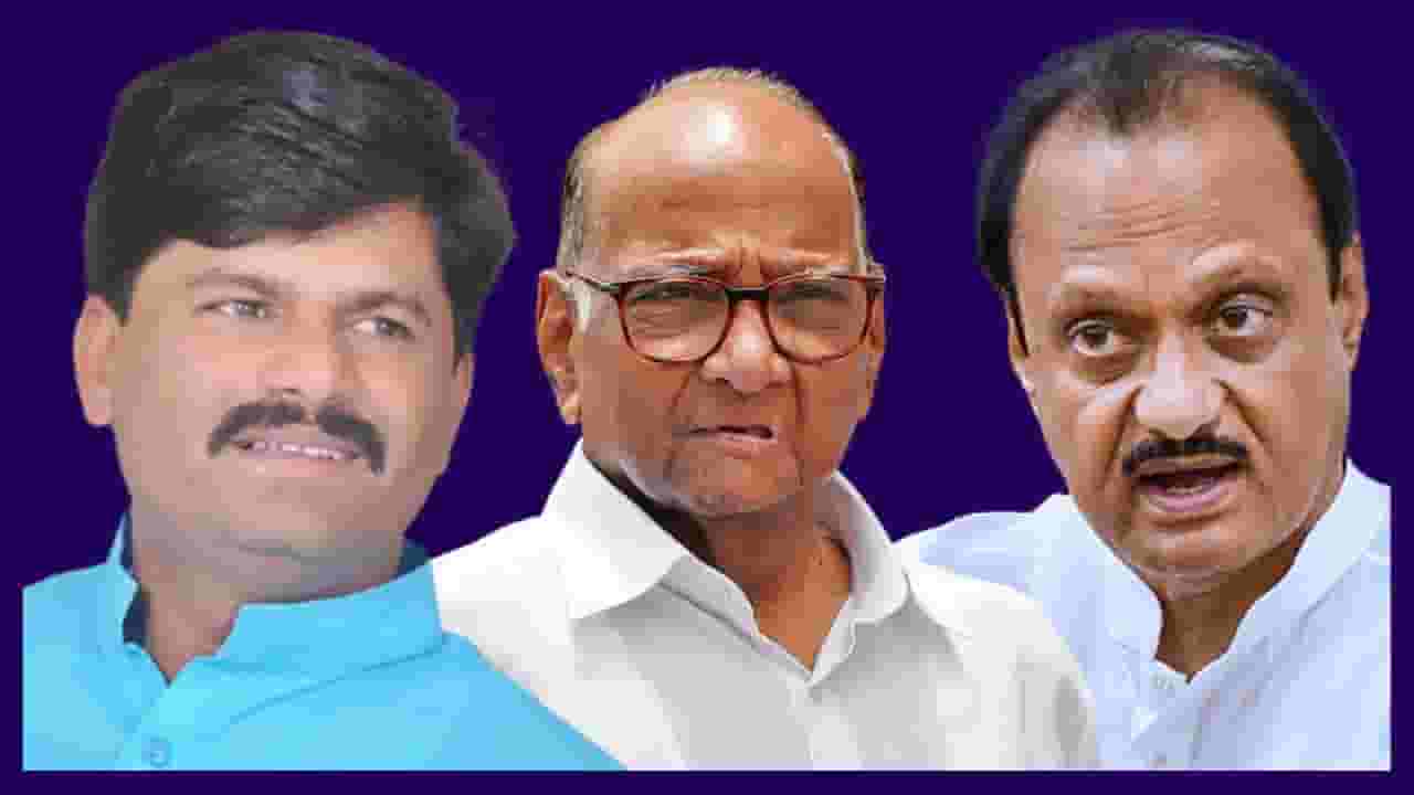 'शरीर माणसाचं मात्र तोंड डुकराचं', राष्ट्रवादीच्या आमदाराची जीभ घसरली, कुणावर केली टीका?