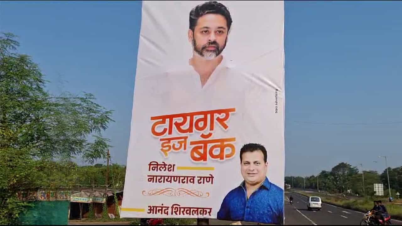 मुंबई-गोवा महामार्गावर 'टायगर इज बॅक'चे बॅनर, काय आहे प्रकारण?