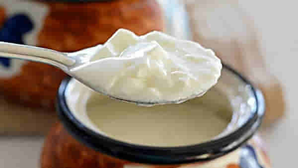 curd in dinner: रात्री जेवणात दही खावे का? पाहा आयुर्वेद यावर काय सांगते